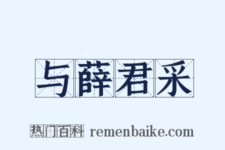 与薛君采是什么意思的图片